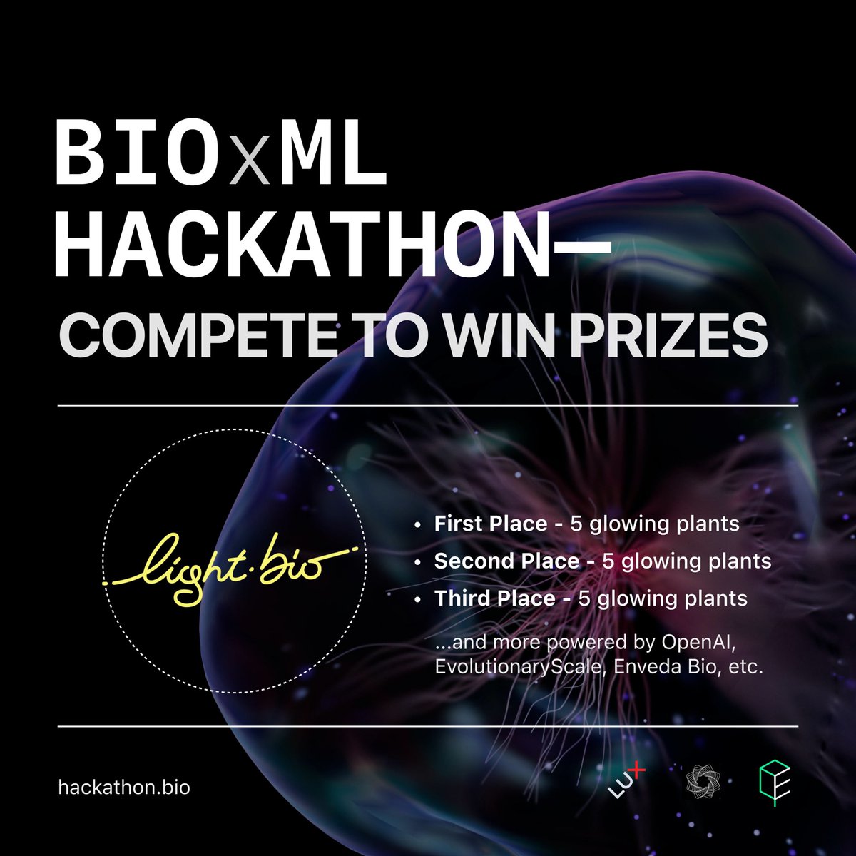Light Bio (@light_bio) on Twitter photo Thrilled to be supporting the Bio x ML Hackathon hosted by <a href="/Lux_Capital/">Lux Capital</a>, <a href="/EvoscaleAI/">EvolutionaryScale</a>, & @EnvedaBio!
Think you’ve got what it takes to shape the future of bio + AI? Learn more: hackathon.bio Thrilled to be supporting the Bio x ML Hackathon hosted by <a href="/Lux_Capital/">Lux Capital</a>, <a href="/EvoscaleAI/">EvolutionaryScale</a>, & @EnvedaBio!
Think you’ve got what it takes to shape the future of bio + AI? Learn more: hackathon.bio