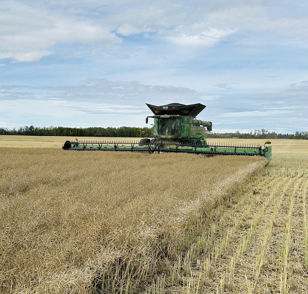 Reden Farms tweet media