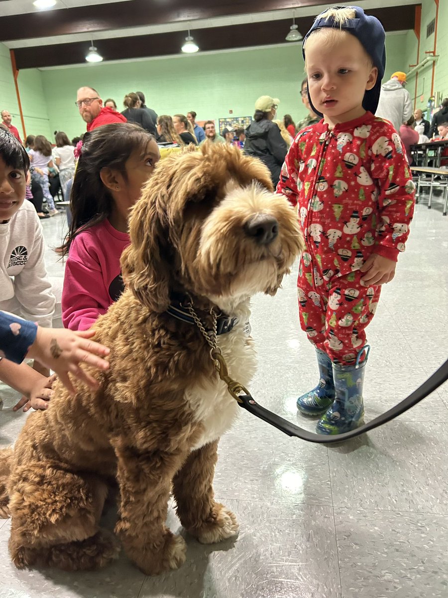 TewksburyPD's tweet photo. Today we celebrated Officer Waffles 3rd Birthday🐶🥳 🎉 🎂   At his request he spent the day hanging with his friends at TMHS, then spent the night at the Dewing School Ice Cream Social.  He had a great day, but was happy to go home, have his cake, open his presents & rest up for another busy day at work tomorrow!
TPD66