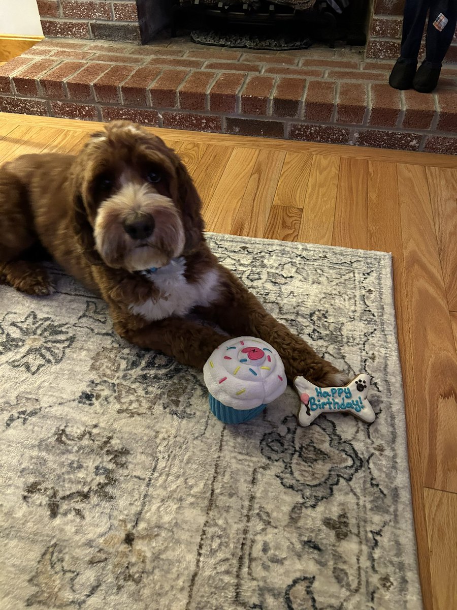TewksburyPD's tweet photo. Today we celebrated Officer Waffles 3rd Birthday🐶🥳 🎉 🎂   At his request he spent the day hanging with his friends at TMHS, then spent the night at the Dewing School Ice Cream Social.  He had a great day, but was happy to go home, have his cake, open his presents & rest up for another busy day at work tomorrow!
TPD66