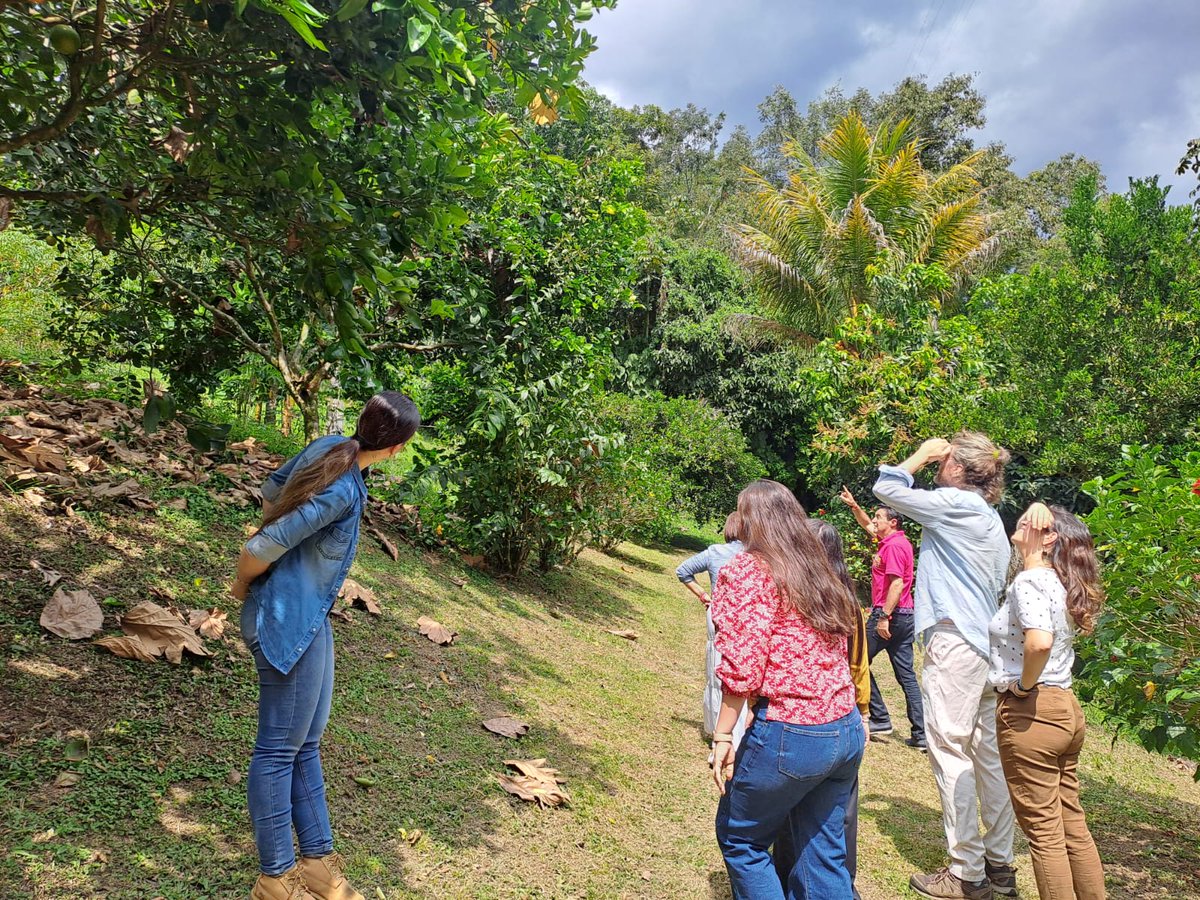 NeuroCity tweet media