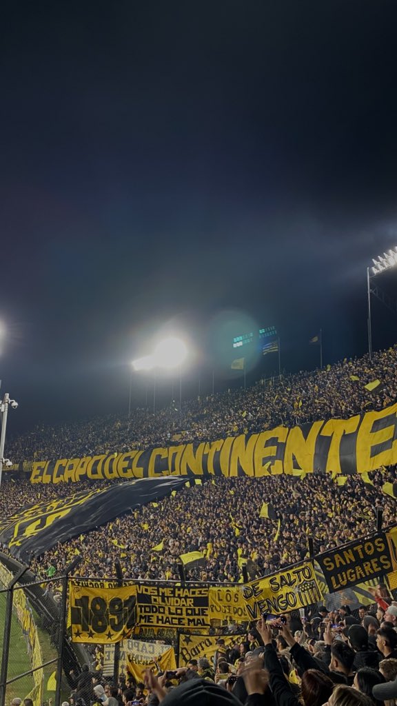 dsaagus's tweet image. EL CAPO DEL CONTINENTE