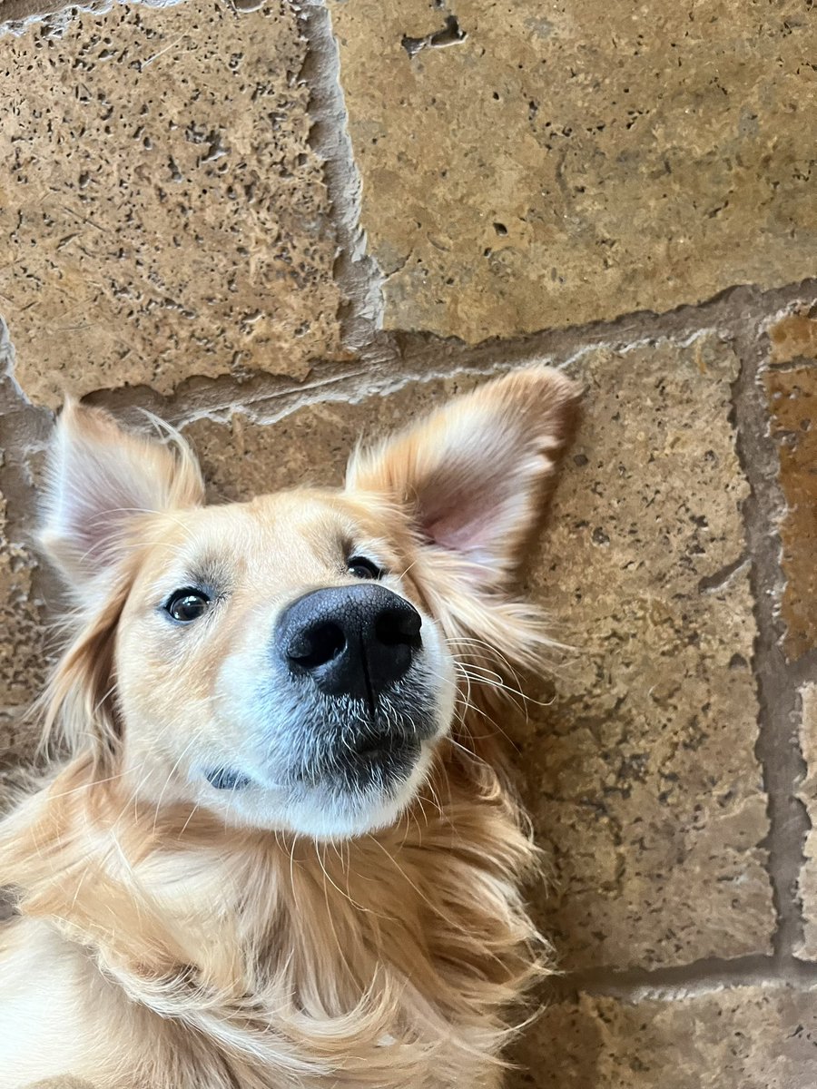 Deepti Behl, M.D. tweet media