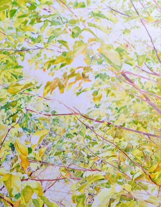 【展示のお知らせ】10/2(水)から旭川にて、道美展出品作の油性色鉛筆画2点を展示します。未定ですが、在廊も予定しています『道美展巡回 旭川支部展』●10/2(水)~10/7(月)●10時~17時(初日13時~、10/7~15時)●旭川市民ギャラリー (旭川市宮下通11丁目)#色鉛筆 #色鉛筆画 #うぐさみさき 