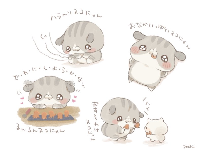 ぽち🐱となりのにゃんこ on X: 