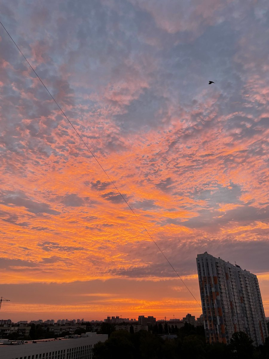 kikirin36's tweet photo. 🌇 ☀️ 🌆
#morning #GoodMorning #GoodMorningFriends #sun #dawn #moment #autumn #vibe #AutumnVibes #sky https://t.co/EvKZT3J5BA