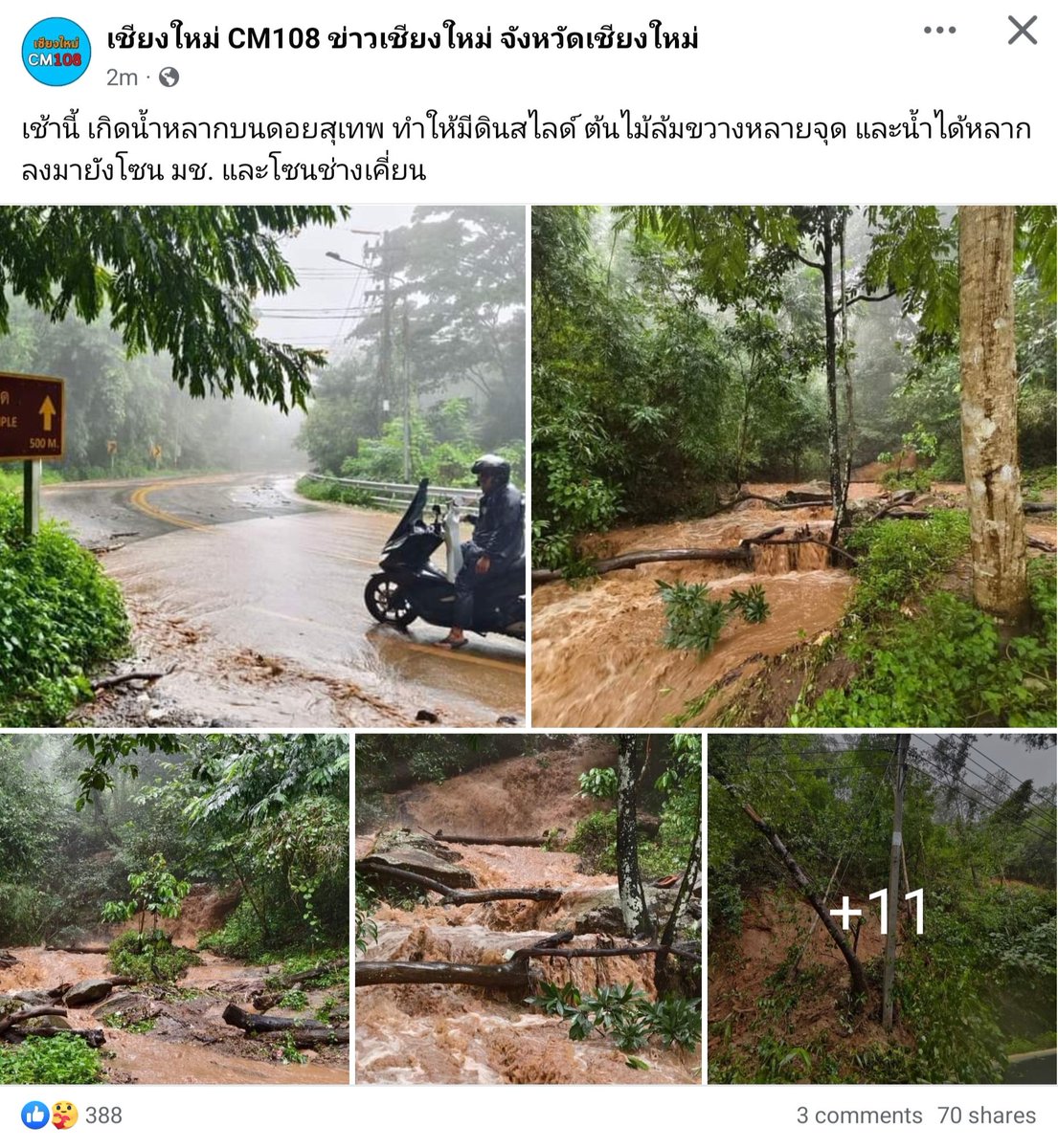 Fangfang | ข้าวฟ่างที่ไม่ใช่อาหารนก🌾 tweet media