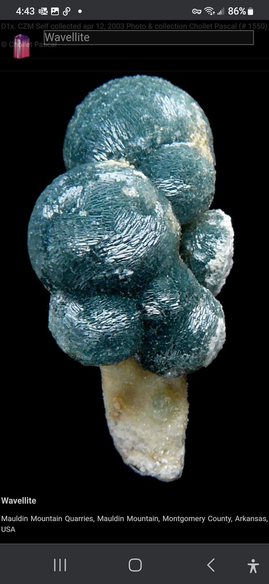 beth_kania's tweet photo. 1 of the things I used 2 look forward to in #Mincup was @mikamckinnon & " Would I lick this rock" post. This #Wavellite looks just like🍦 #icecream Anyone can vote at @MineralCup in #Mincup24 tap📍'd post. Voting happening now. #PleaseShare #please #vote #TBT C 📸Patrice Cmolik https://t.co/4Rknzi7jkc