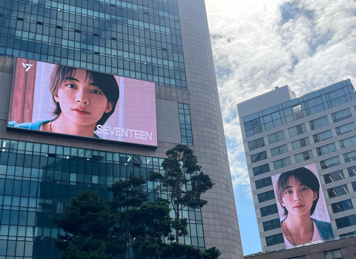 세븐틴(SEVENTEEN) tweet media