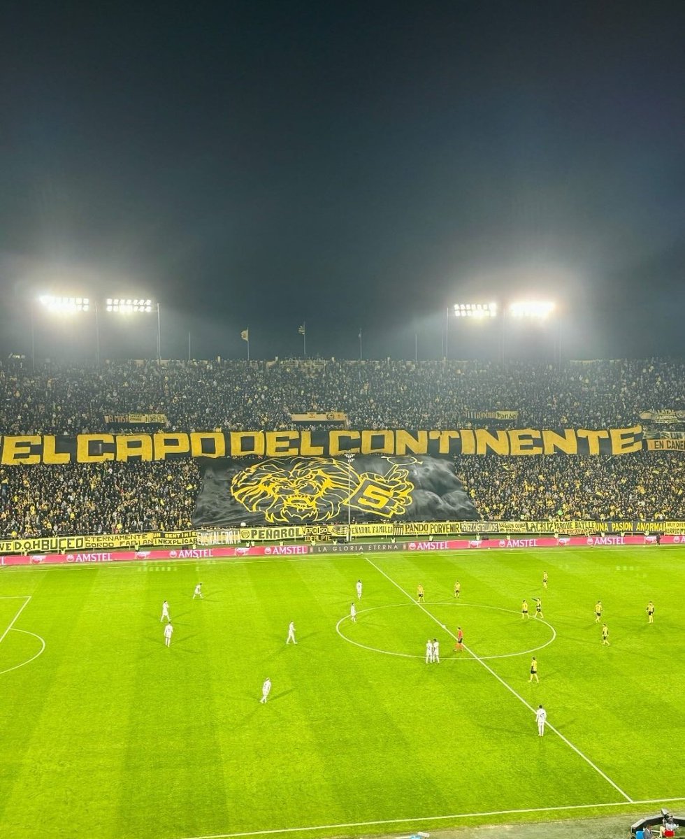 PyD1891's tweet photo. Que todos sepan que volvió Peñarol el capo del continente. https://t.co/Z2NriPVgok