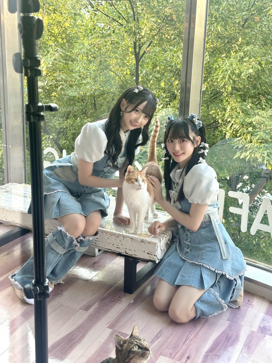 honda_miyuki_'s tweet photo. 9/28(土)発売の
「シティ情報ふくおか」さやちゃんと表紙をつとめさせていただきます🐈🐾
ねこちゃんのみなさんにとーっても癒やされました…！♡💭
ぜひゲットしていただきたいです😻 https://t.co/XXq0YlGuwA