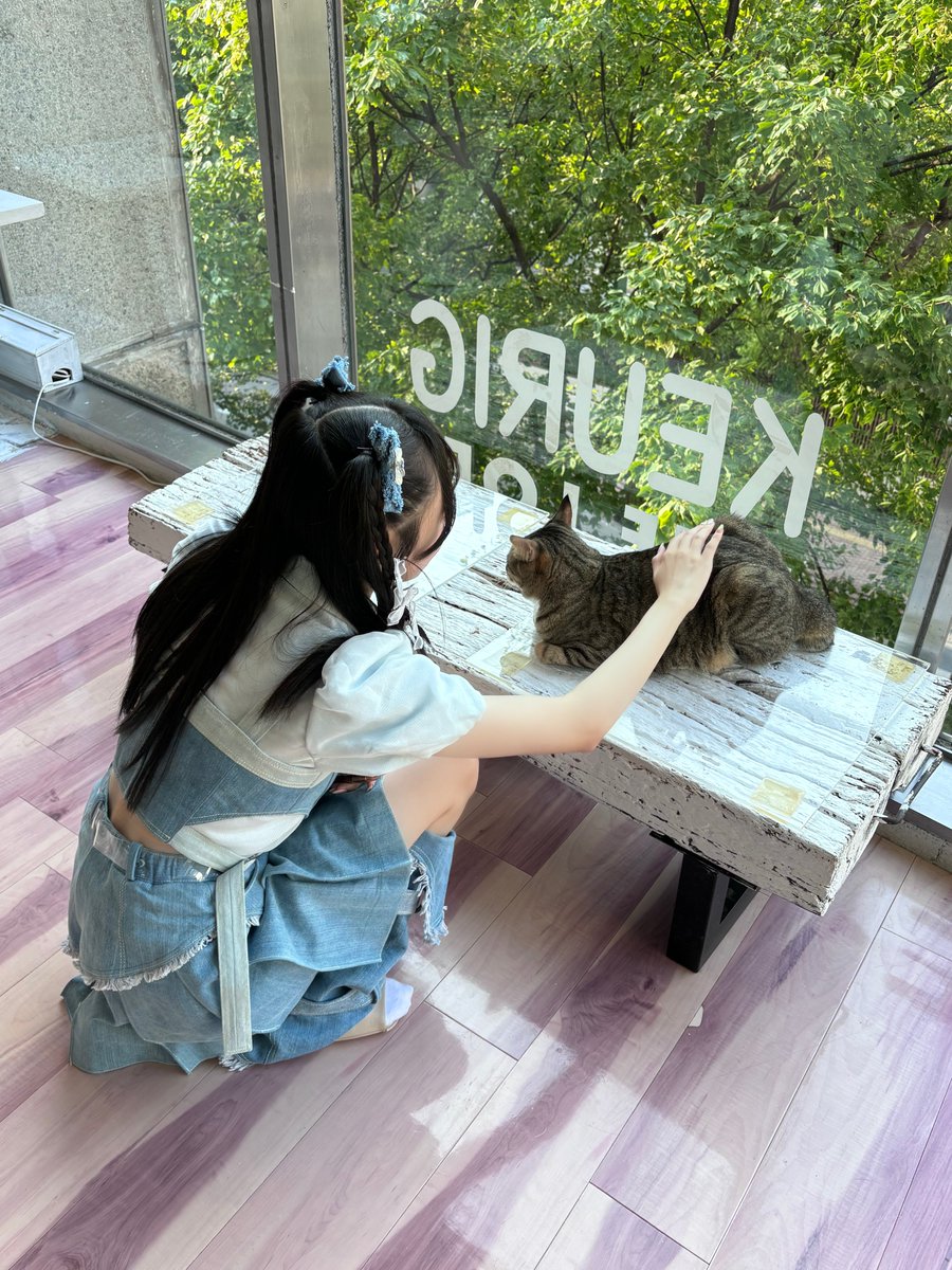 honda_miyuki_'s tweet photo. 9/28(土)発売の
「シティ情報ふくおか」さやちゃんと表紙をつとめさせていただきます🐈🐾
ねこちゃんのみなさんにとーっても癒やされました…！♡💭
ぜひゲットしていただきたいです😻 https://t.co/XXq0YlGuwA