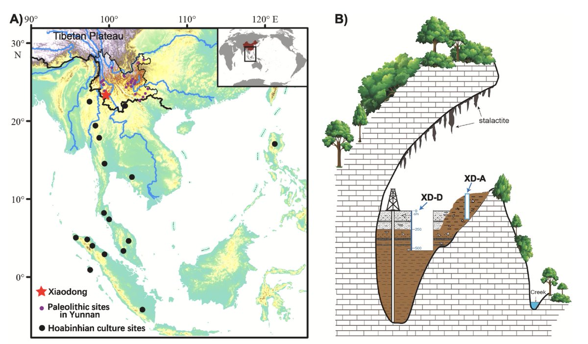 Michael Petraglia (@mdpetraglia) on Twitter photo Paper alert! New dating reveals a 65,000 year-long sequence of #fire use at Xiaodong Rockshelter by #Hoabinhian populations in the tropical forests of Yunnan, #China. <a href="/ARCHE_Griffith/">Australian Research Centre for Human Evolution</a> sciencedirect.com/science/articl… Paper alert! New dating reveals a 65,000 year-long sequence of #fire use at Xiaodong Rockshelter by #Hoabinhian populations in the tropical forests of Yunnan, #China. <a href="/ARCHE_Griffith/">Australian Research Centre for Human Evolution</a> sciencedirect.com/science/articl…