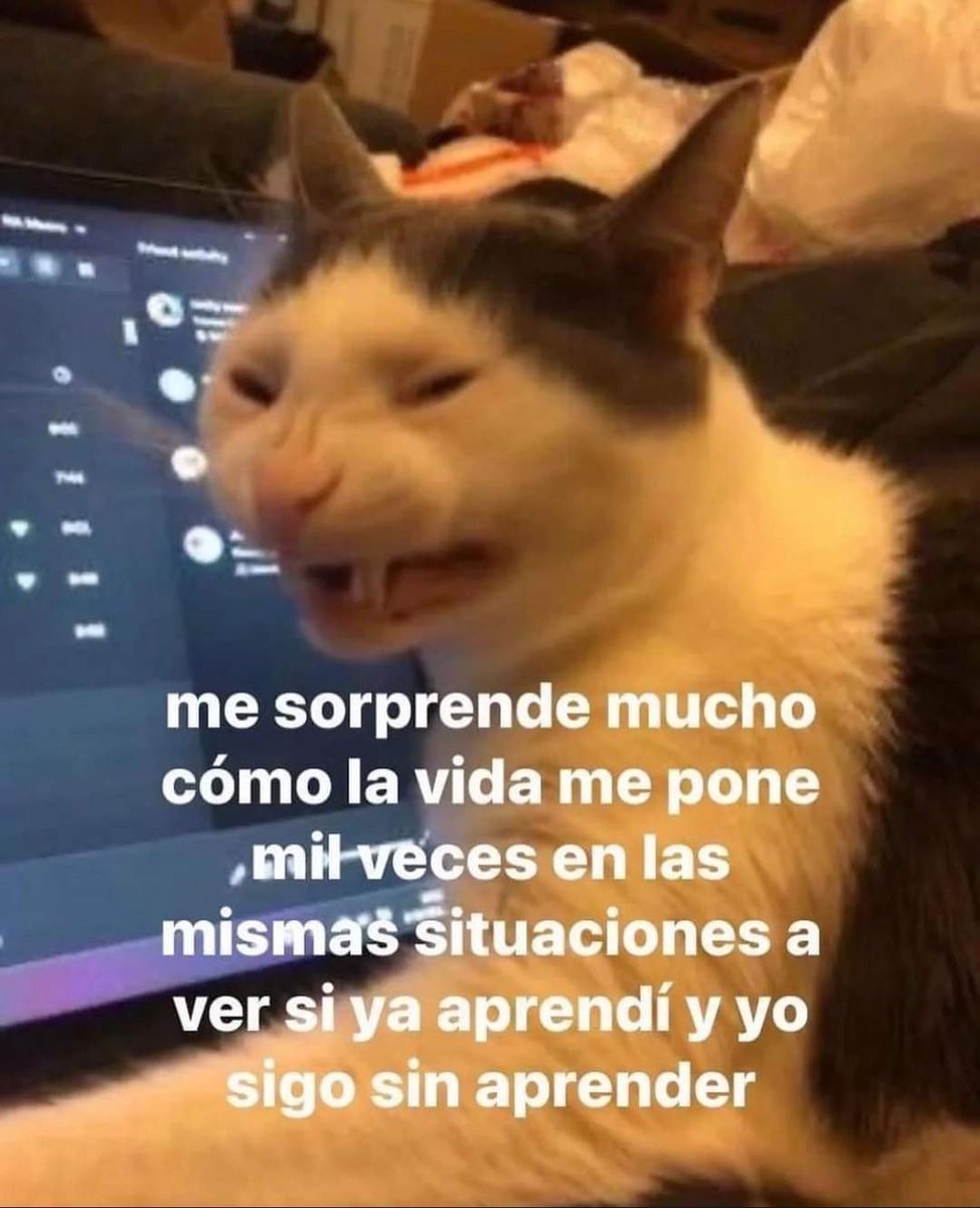 En Júpiter (@en_jupiter_) on Twitter photo 