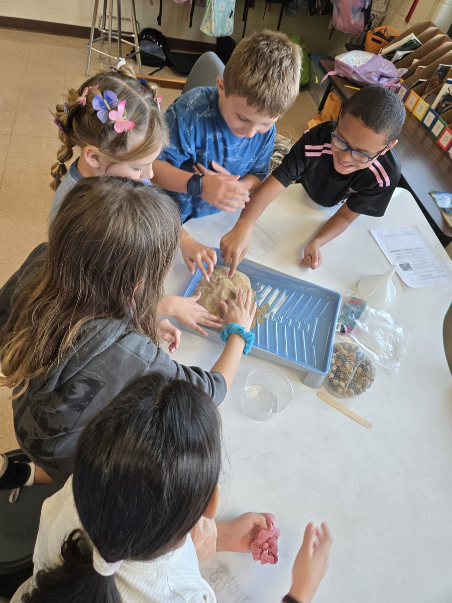 Mr. Bird FRSD tweet media