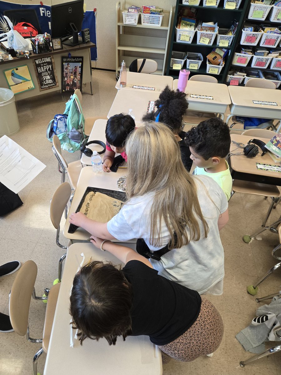 Mr. Bird FRSD tweet media