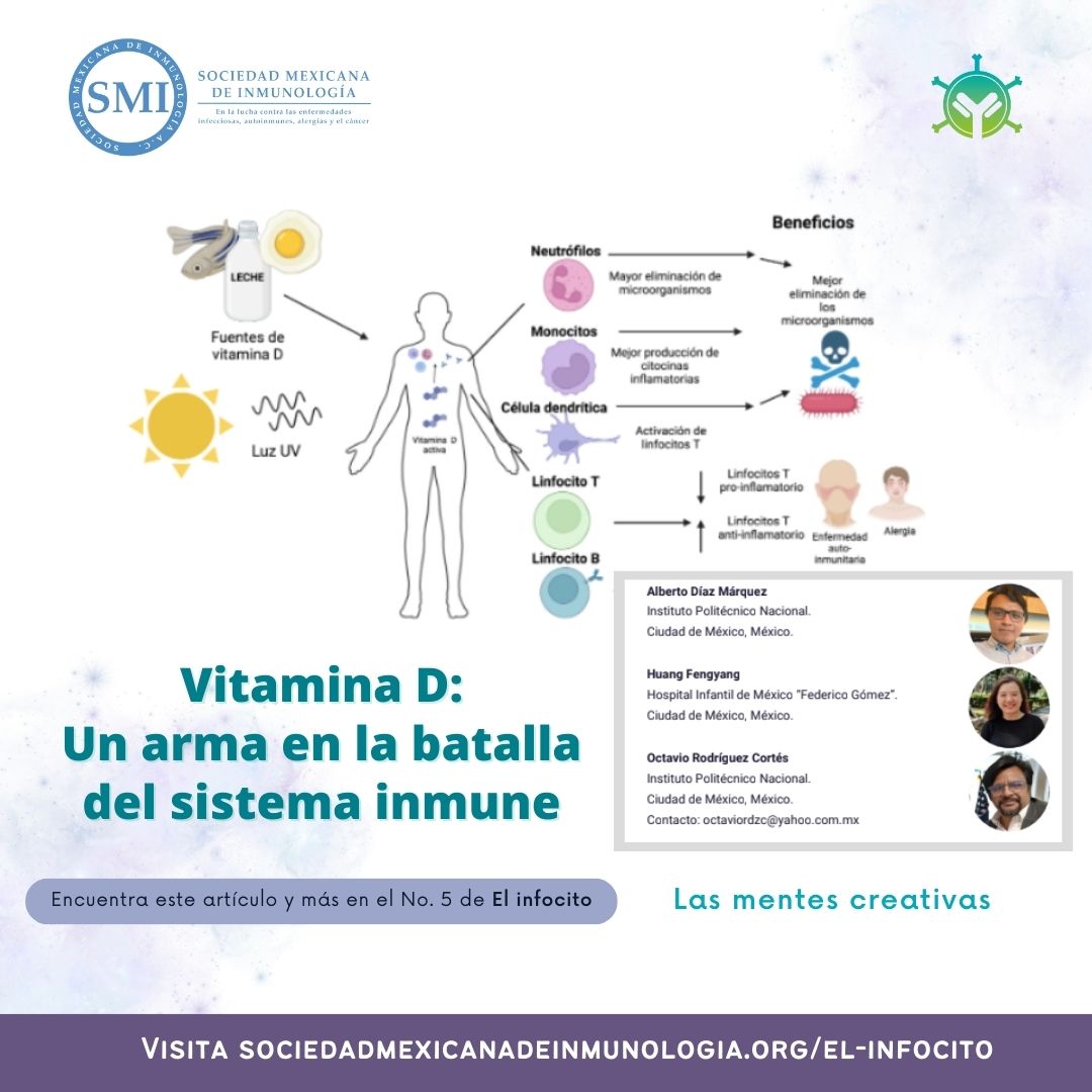 smi_oficial's tweet photo. ¿Sabías que la exposición a la radiación solar ☀️ puede influir en cómo tu cuerpo combate las enfermedades 💪?
Visítanos en: https://t.co/powlOmNMOv
#DivulgaciónSMI #Elinfocito #SMInmunología https://t.co/PlrIdDAg4M