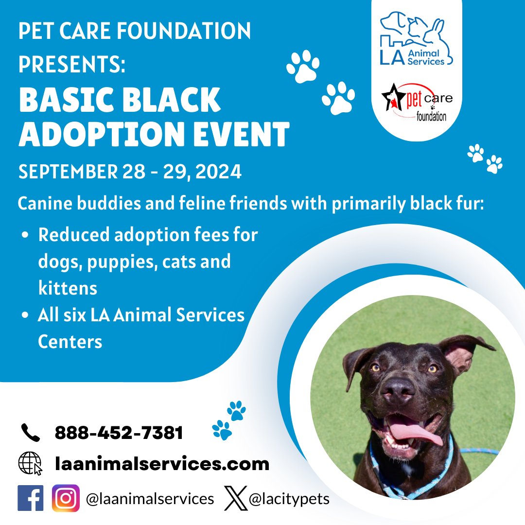 LACityPets's tweet photo. The Pet Care Foundation is sponsoring the Basic Black adoption event happening at all six LA Animal Services Centers this Saturday, Sept. 28 and Sunday, Sept. 29. #lacitypets #adopt #foster #dogsofLA #catsofLA #dog #cat #losangeles #adoptlove #adoptdontshop https://t.co/yMpFnicTdM