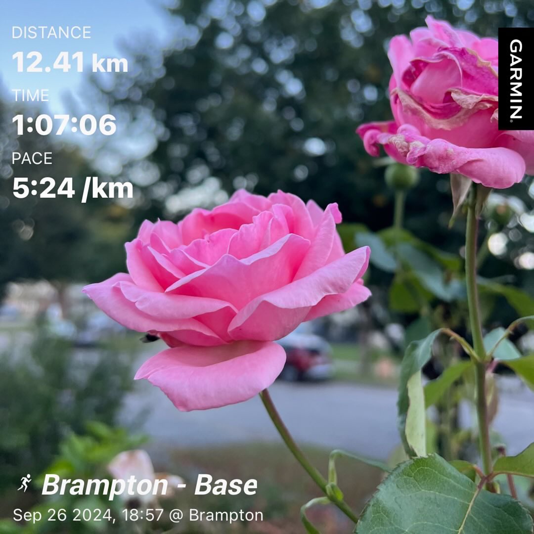 kunrup's tweet photo. Late evening run 12K. Days getting shorter. Dark at 8 pm. Anyway with 17 degrees and a pleasant breeze, a perfect run!
#brampton #positivevibes #positivity #stayactive #staymotivated #runforfun #runforhealth #marathonbound #torontowaterfrontmarathon #rose #shreekrishna https://t.co/5q1F1GrC7G
