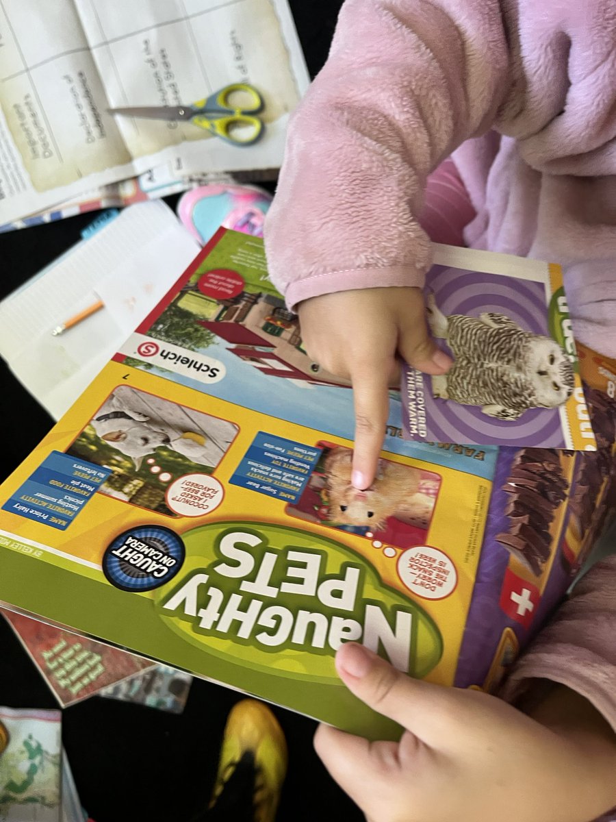 Adaniacsolis's tweet photo. Finding and identifying different types text features!!!!!! Students had a blast finding them in magazines, newspapers and books! 🤓📖✨📚 @NISDEllison @NISDElemCI https://t.co/OxrQFLTDim