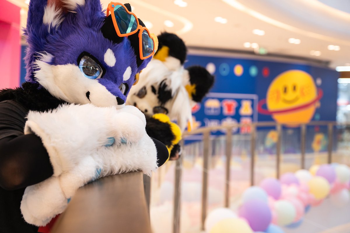 xixi_furry's tweet photo. 浅浅的更新一下吧～ https://t.co/vLtlDQlf6q