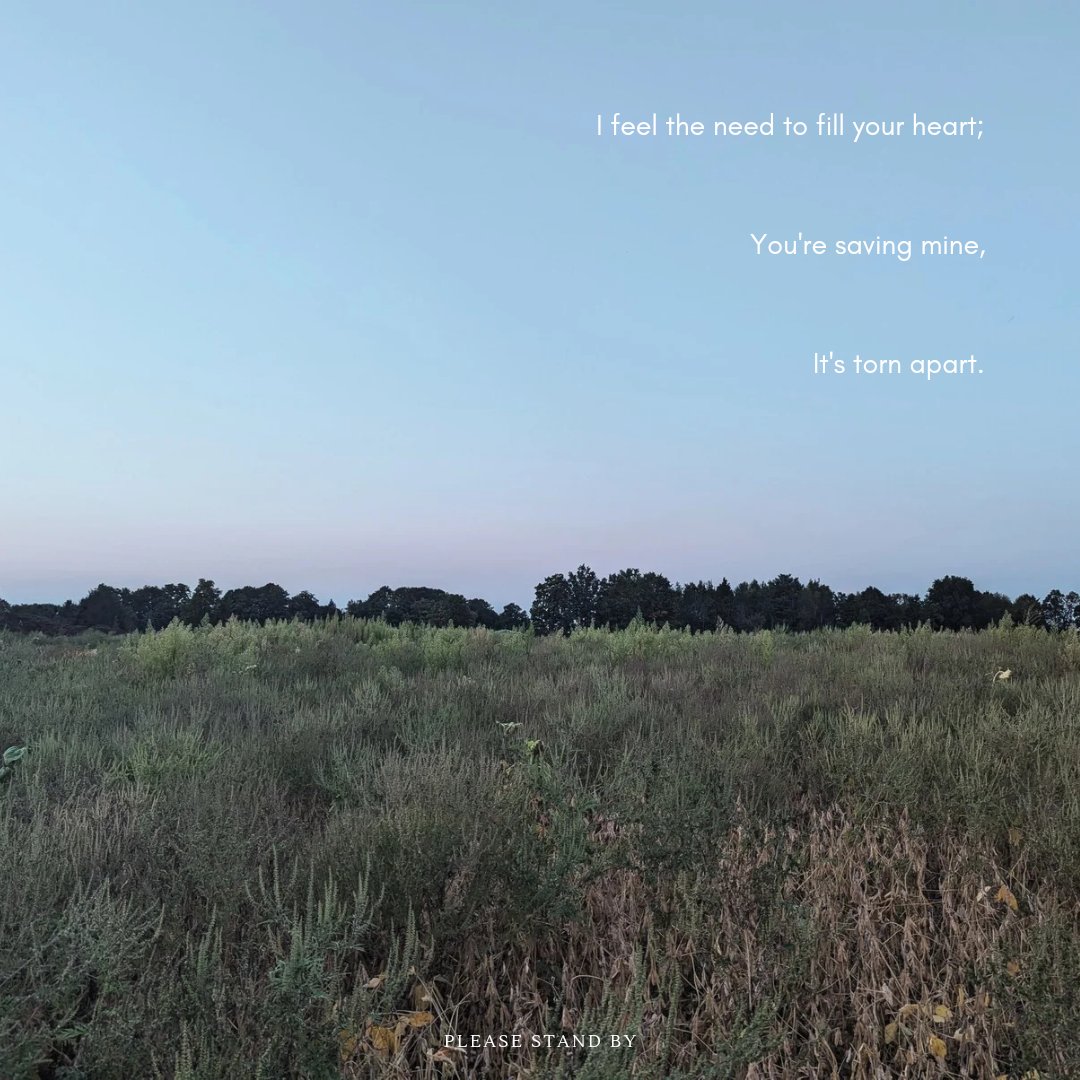 Julian Bachlow tweet media