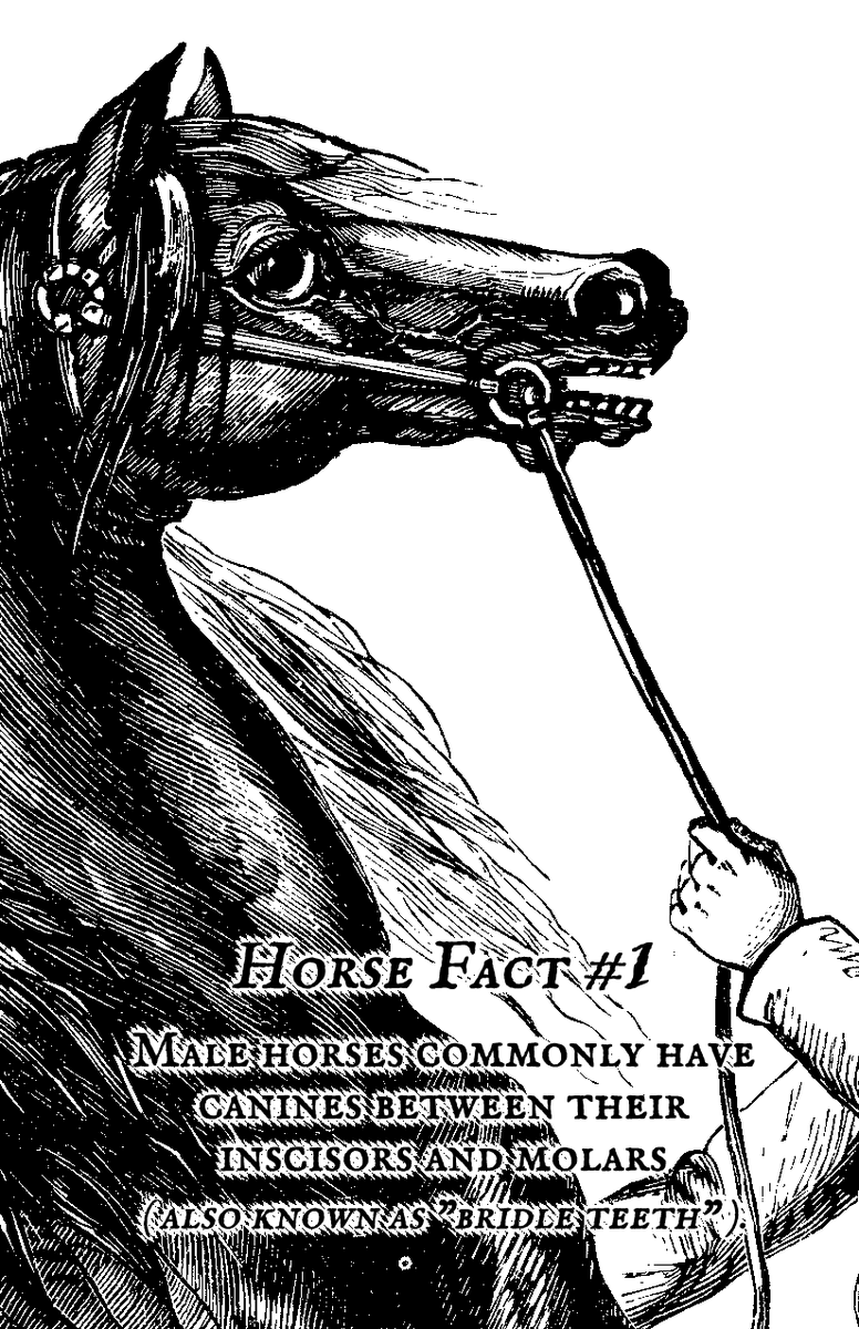 DemonAttackZone's tweet photo. Horse facts! (REAL)

(1/2) https://t.co/B8xkItoRN4