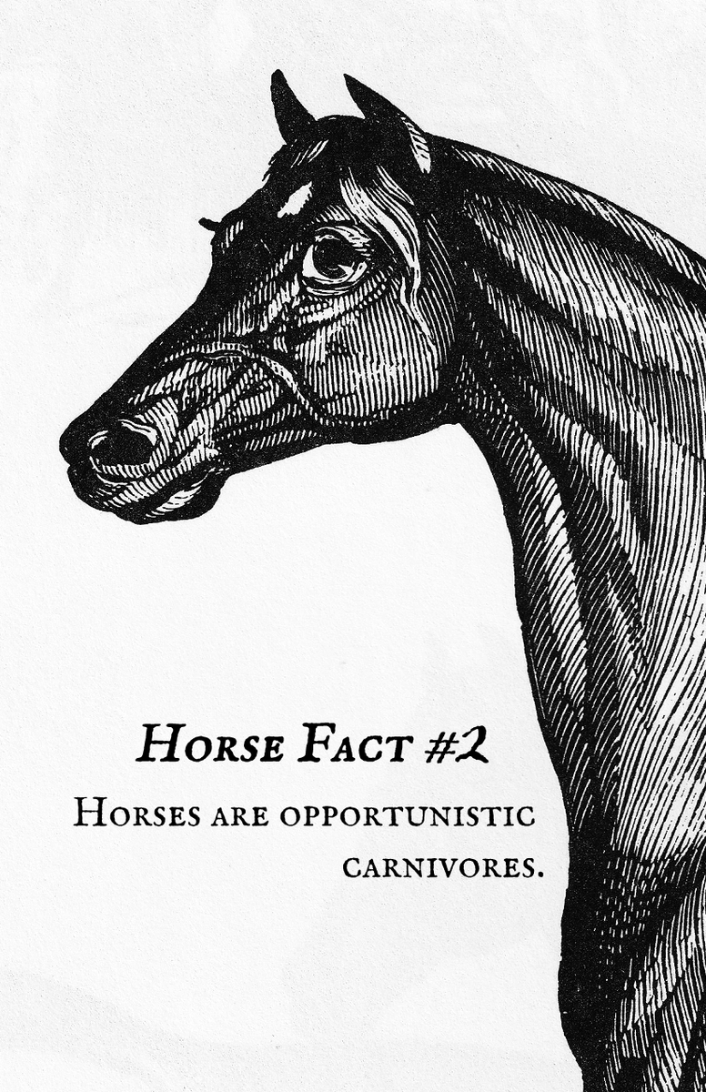 DemonAttackZone's tweet photo. Horse facts! (REAL)

(1/2) https://t.co/B8xkItoRN4