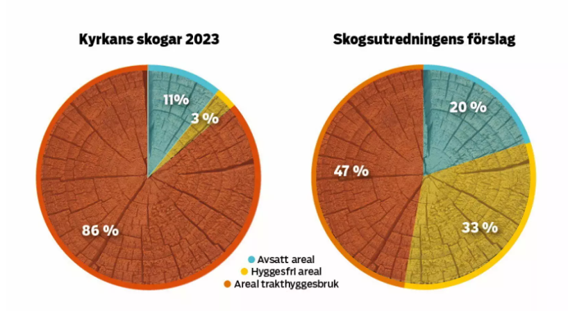 Jag anser att de förslag <a href="/svenskakyrkan/">Svenska kyrkan</a>  skogsutredning nu har lämnat kan fungera som en tankemodell för hela det svenska skogsbruket. 

Här en mkt kort, och snygg sammanfattning från <a href="/KyrkansTidning/">Kyrkans Tidning</a> :

kyrkanstidning.se/nyhet/det-fore…