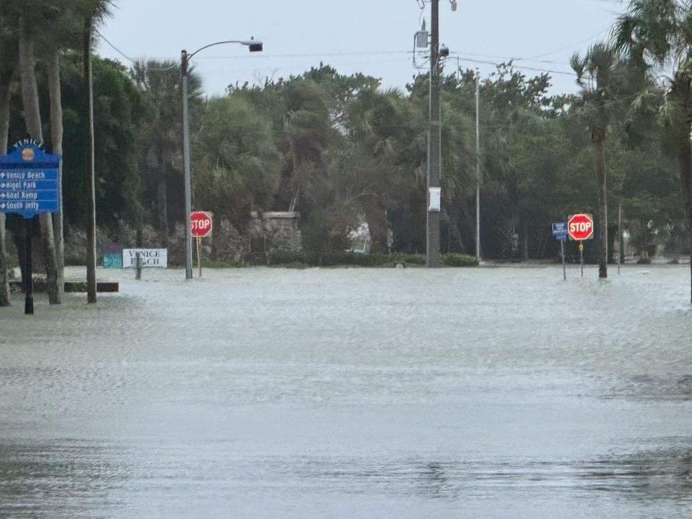 City of Venice, FL tweet media