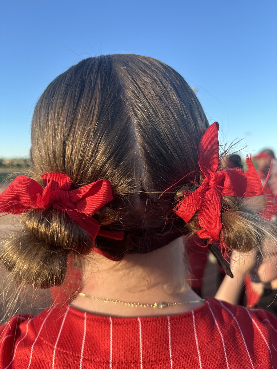 SoftballHusky's tweet photo. Senior night W 4-2! 

Hannah also received the Henderson Scholarship tonight❤️ https://t.co/aEkCMGgEfx