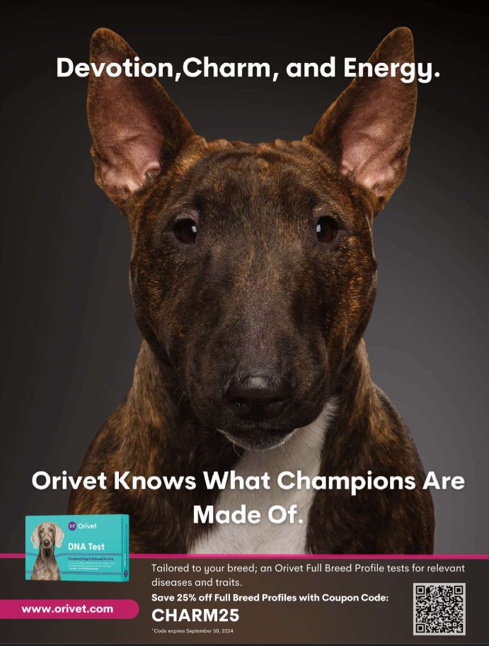 Showsight's tweet photo. Orivet Knows What Champions Are Made Of.๐
https://t.co/w8gyMusdPC
#dogdnatesting #dnatesting #purebred #dogshow #dogshow2024 #bestinshow #bestinshowsight #showsightmag #orivet https://t.co/2G9coWZmvG