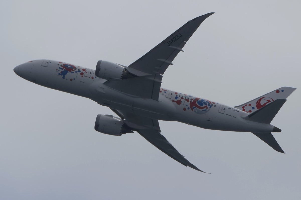 princessarete's tweet photo. 2024/09/26
#ミャクミャクJET
#JAL
#JA823J
#JL23 https://t.co/5xyAP0SOr1