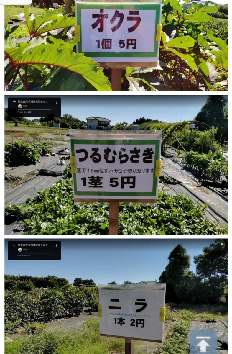☆AYA☆ tweet media