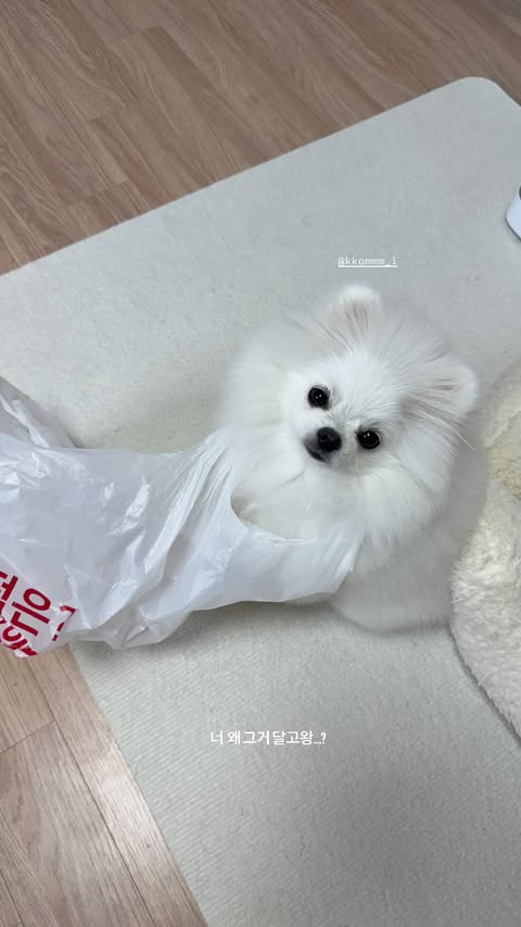 chaewonfiles's tweet image. 240926 silver_chae_526 IG stories   

#권채원 #KWONCHAEWON