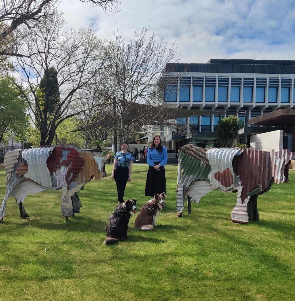 NZAustralia's tweet photo. 🦮🐕🦺 Diplodogs Jed & Harley 🐾 popped by this morning - the highlight of the week for the team 🥰
It’s Mental Health Awareness Week in NZ so we hope you do something this week to connect with loved ones and look after your wellbeing 🫶
#diplodogs #dogdiplomacy #MHAWNZ #mentalhealth