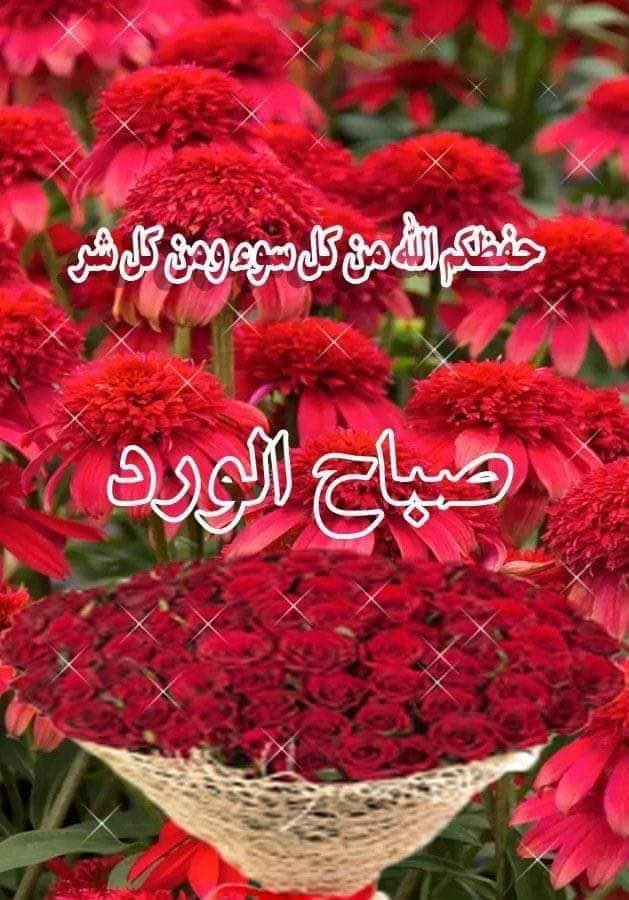 noor0000000 (@nogaa2011) on Twitter photo 