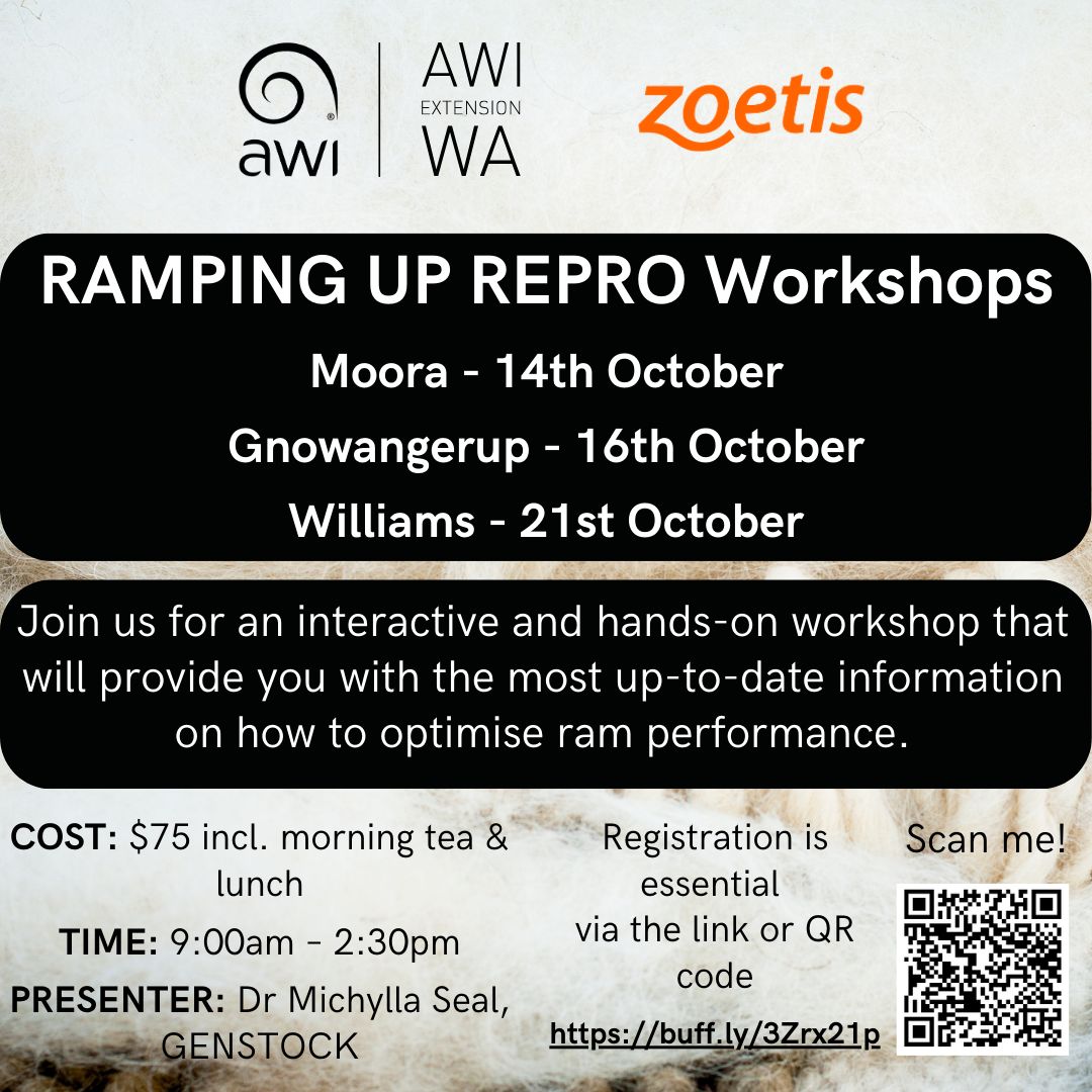 Make sure you register for one of our upcoming RAMping Up Repro workshops! Workshops will be held in Moora, Gnowangerup and Williams. Get in quick as spots are filling up fast! Follow the link to register: buff.ly/3Zrx21p 
<a href="/woolinnovation/">Australian Wool Innovation</a> <a href="/Zoetis/">Zoetis</a> <a href="/MicGenstock/">Genstock WA</a>
