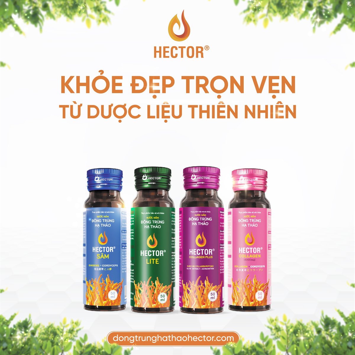 vgtjsc's tweet photo. Bộ tứ sức khỏe - sắc đẹp của nhà Hector đã hội tụ 💙💚💜🩷
#hector #hectorsam #hectorlite #hectorcollagenplus #hectorcollagen #dongtrunghathao #collagen #lavite https://t.co/xYuL09zFio