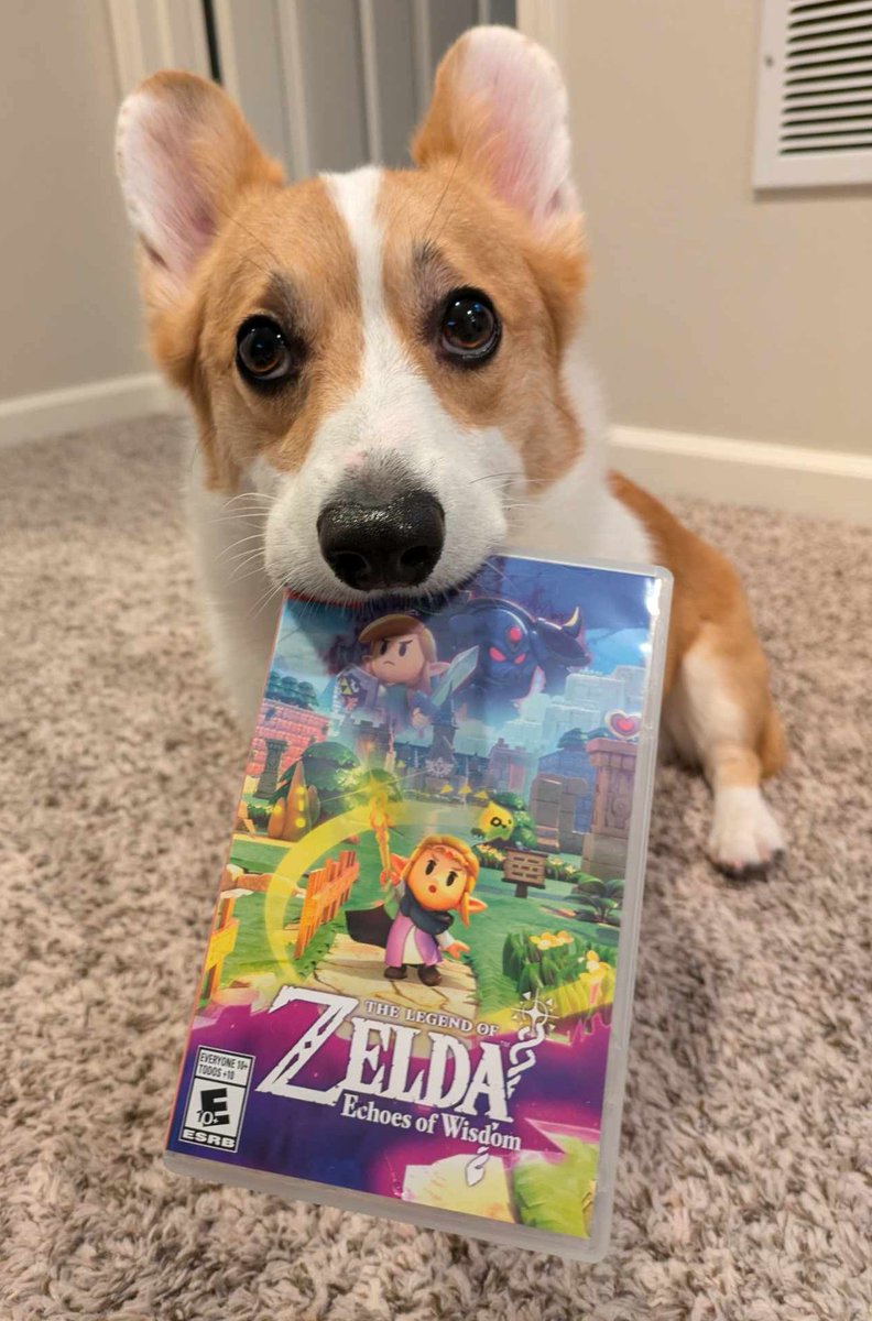 Time for a new game! Streaming now!