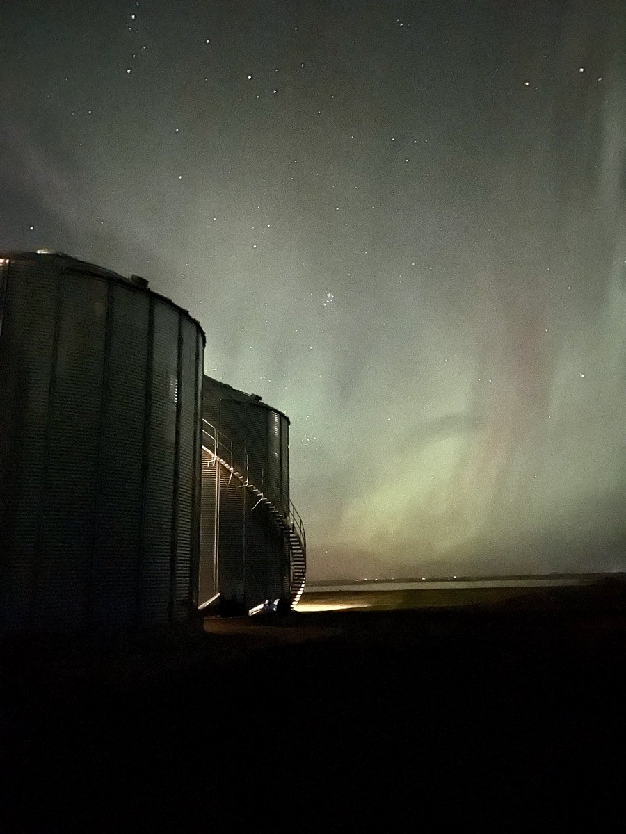 Candice Bauer tweet media