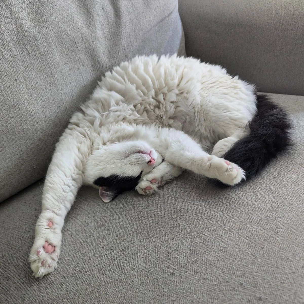 Heather C tweet media