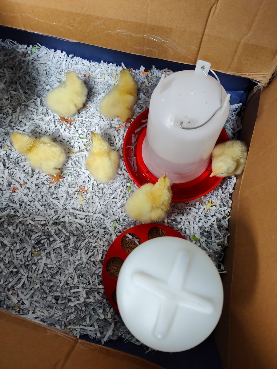 Lindsey Mueller(she/her) tweet media