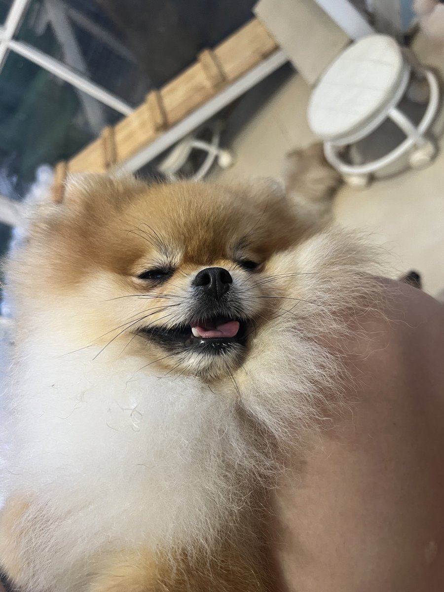 黄推福利内容 - 叫我七月就好(贫穷求🚪版)的精彩图片 福利姬叫我七月就好(贫穷求🚪版)分享的黄推图片2 - 网红私拍内容