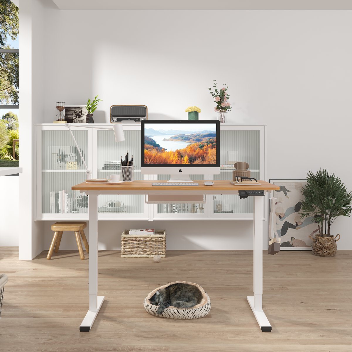 SANODESK_jp's tweet photo. 【SANODESK】製品情報✨
昇降デスク　E150

デスクの高さと椅子を変えるだけで、
キッズデスクに大変身🫡
もちろんテレワーク等、仕事用にも対応可能な 、
万能デスクです✨

販売・詳細はこちら👇
↓
https://t.co/8nXZMqQpIo

＃昇降デスク #SANODESK #電動昇降デスク https://t.co/Xf2q2oAOBi