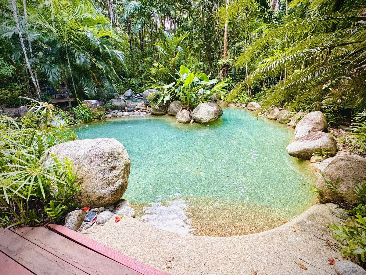 ConferenceEvent's tweet image. Australia, Port Douglas ALWAYS delights with treehouse bungalows and natural pools.  Perfect weather here up north of Sydney!