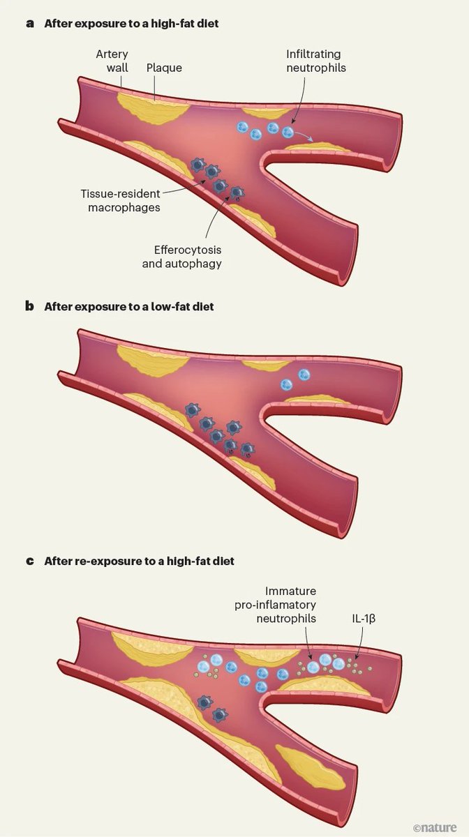 boju panda Twilog boju-panda-twilog
