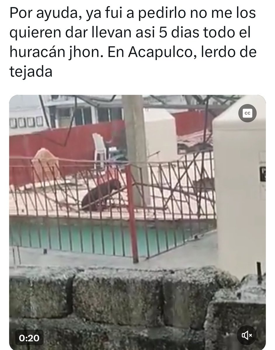 JPisioso's tweet photo. AYUDA @RadioTvGuerrero  PARA ESTE PERRITO Q SE ENCUENTRA FRENTE A LA ESC CIMA,EN LA CALLE LERDO DE TEJADA CENTRO.
EN ESTA CASA SEGUIDO DEJAN MORIR A SUS PERROS. https://t.co/LNF2uakI2W