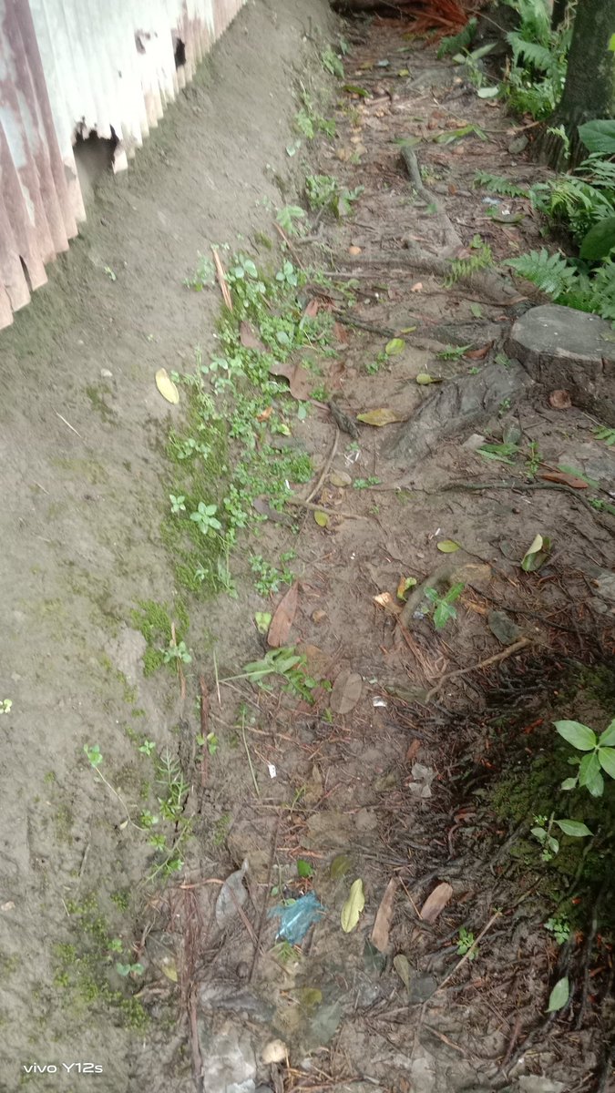 rmamiislam46's tweet image. #cleanupchallenge
@cleanify_vet