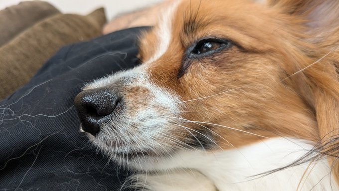 鼻水たれてますよ 